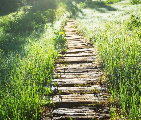 Promenáda — Stock fotografie