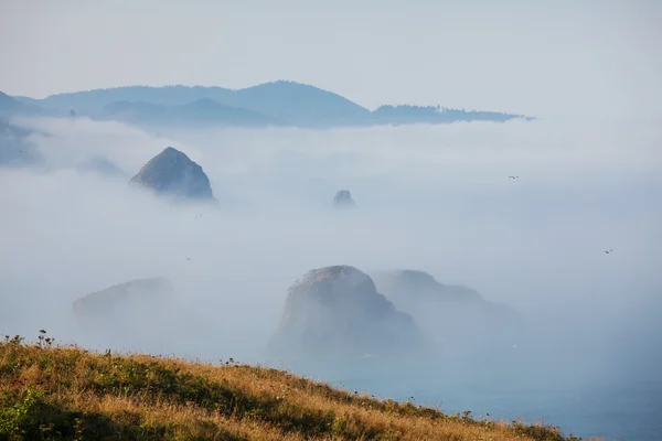 Meeresküste — Stockfoto