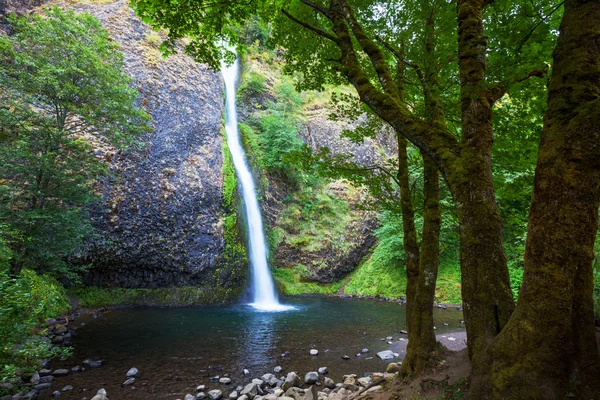 Waterval in bos — Stockfoto