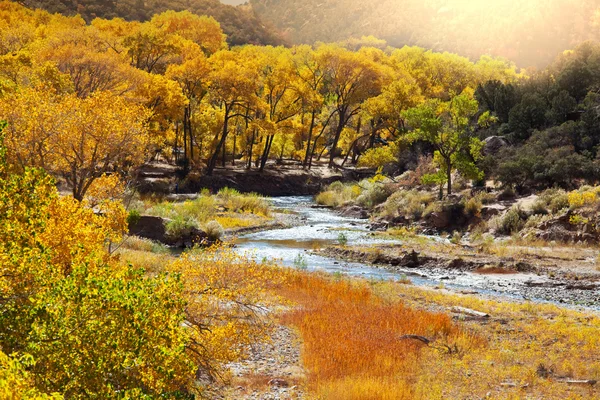 Autumn in Zion — Stock Photo, Image