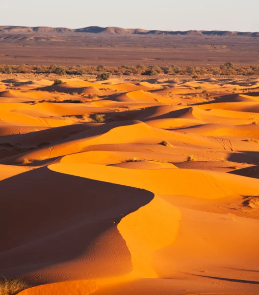 Deserto — Fotografia de Stock