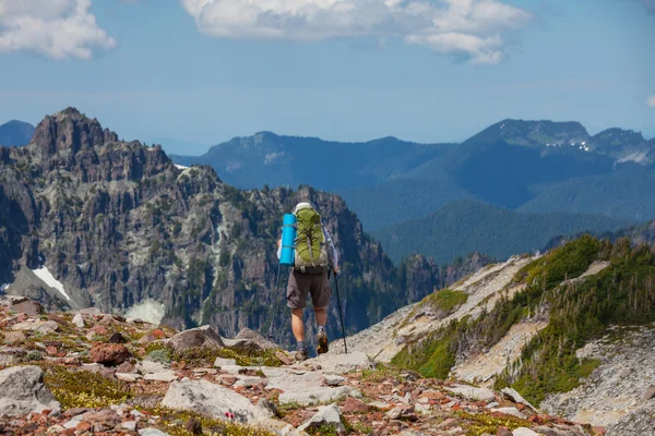 Wanderung in Nordkaskaden — Stockfoto