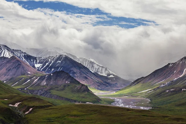 Mckinley. — Fotografia de Stock