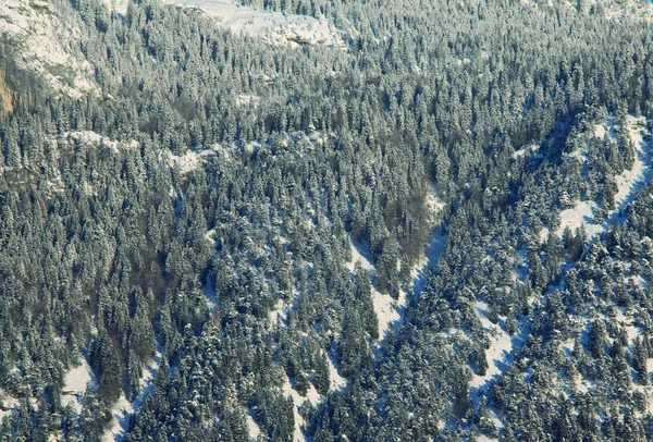 Vintern berg — Stockfoto