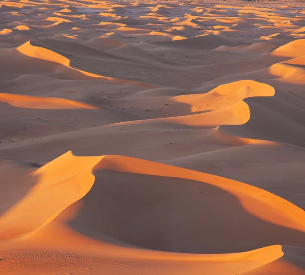 Deserto — Fotografia de Stock