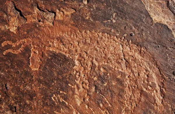 Petroglyphe in Marokko — Stockfoto