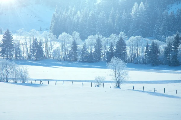 Zima v alp — Stock fotografie