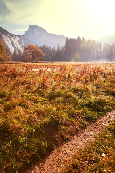 Φθινόπωρο σε yosemite — Φωτογραφία Αρχείου