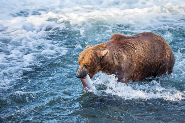 Oefenen op alaska — Stockfoto