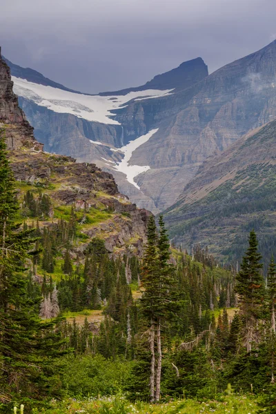 Parque Glaciar — Foto de Stock