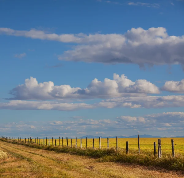 Campo de outono — Fotografia de Stock