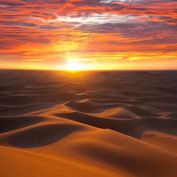 Desert on sunset — Stock Photo, Image