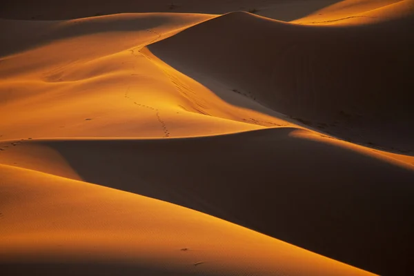 Пустеля Сахара — стокове фото