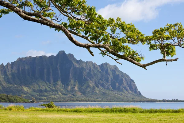 Hawaii — Stockfoto