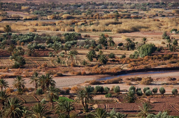 Marokkanische Felder — Stockfoto