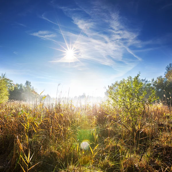 Herbstsee — Stockfoto