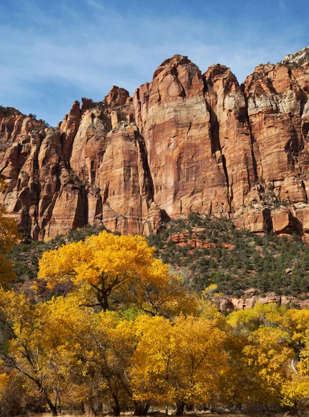 Autumn in Zion — Stock Photo, Image