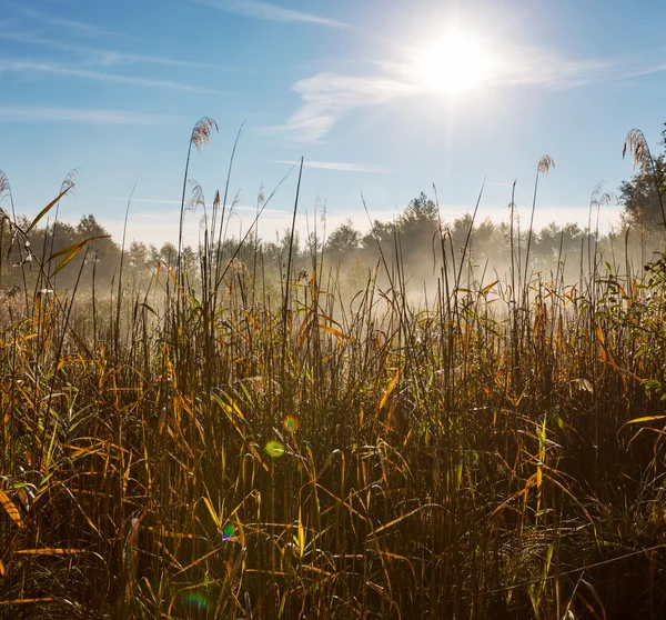 Herfst lake — Stockfoto