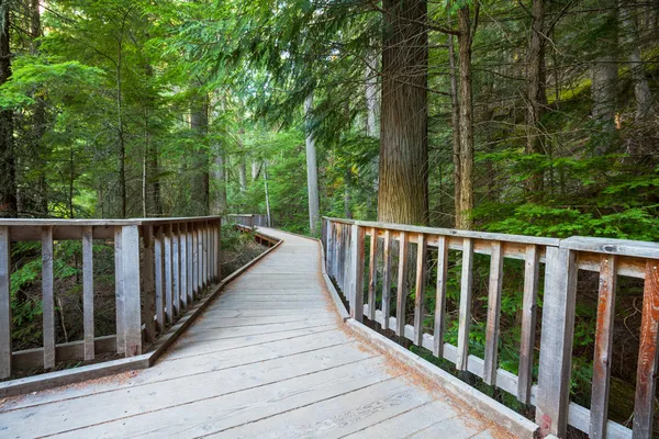 Boardwalk — Stock Photo, Image