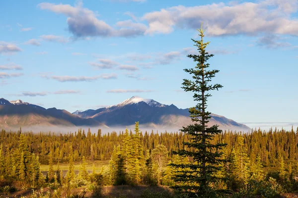 Alaskan krajobrazy — Zdjęcie stockowe