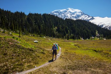 Mt.Raineer