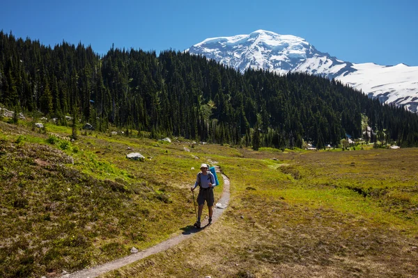 Mt.Raineer — Fotografia de Stock