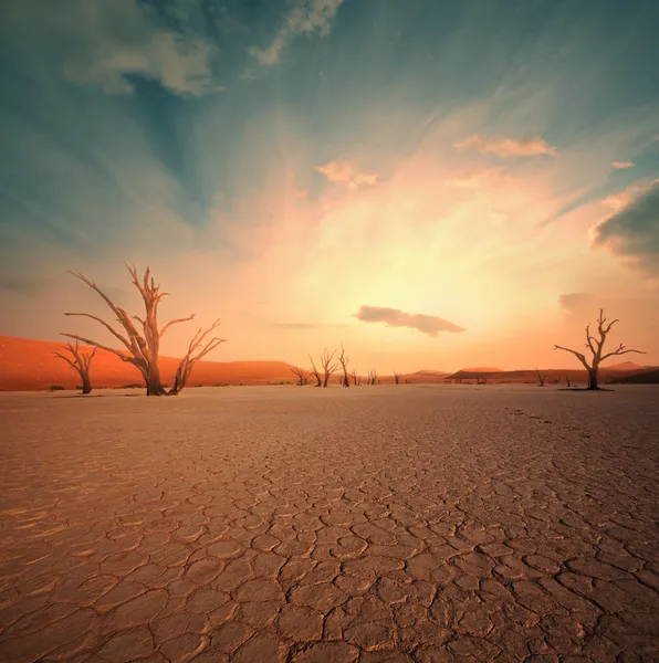 Namib — Stock fotografie