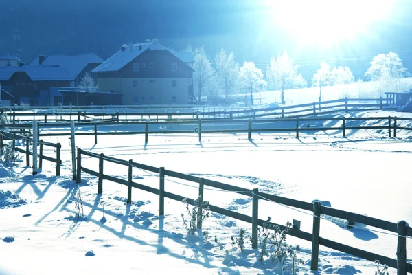 Winter in Alp — Stock Photo, Image