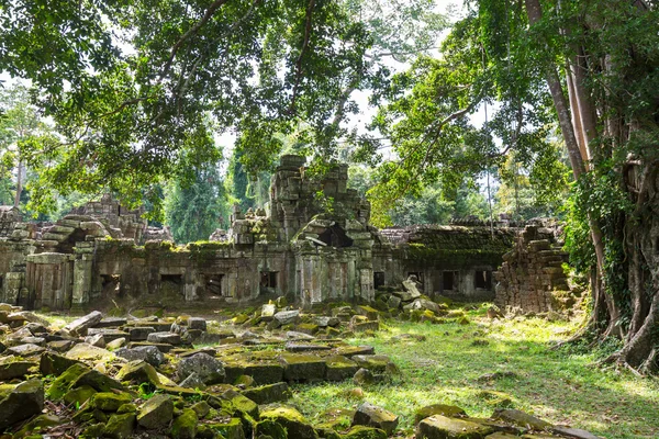 Angkor — Stockfoto