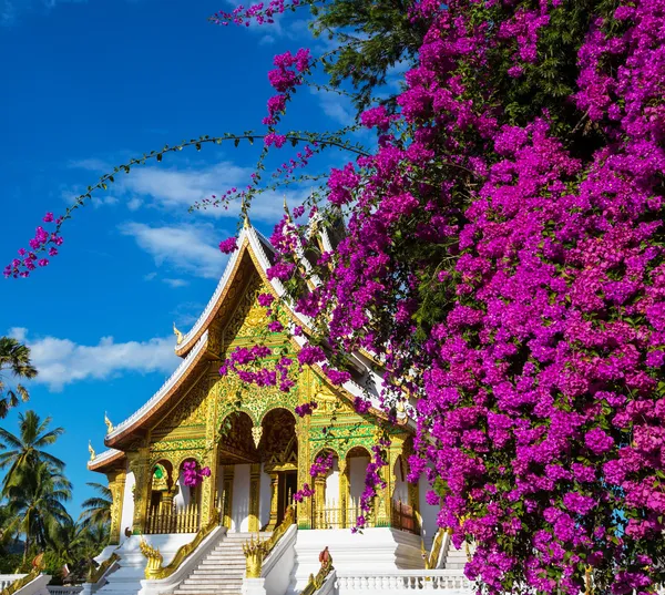 Tempio a Luang Prabang — Foto Stock