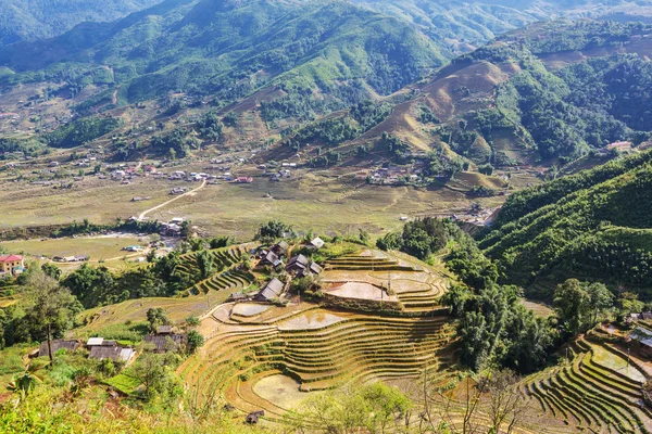 Fält i vietnam — Stockfoto