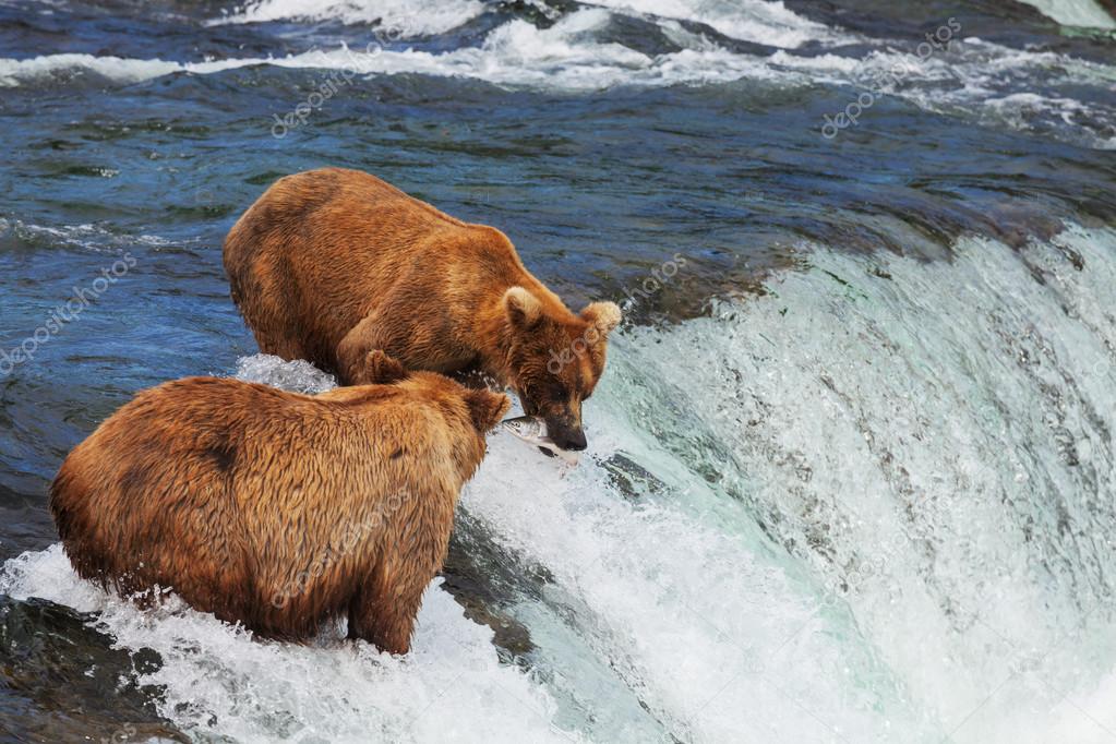 kamchatka