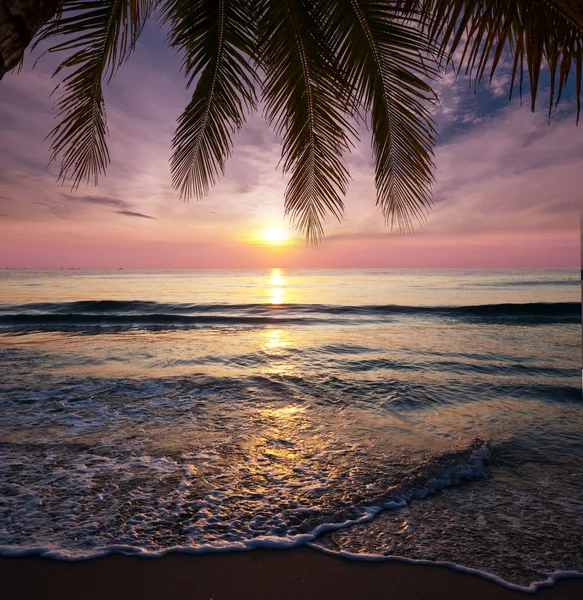 Spiaggia tropicale — Foto Stock