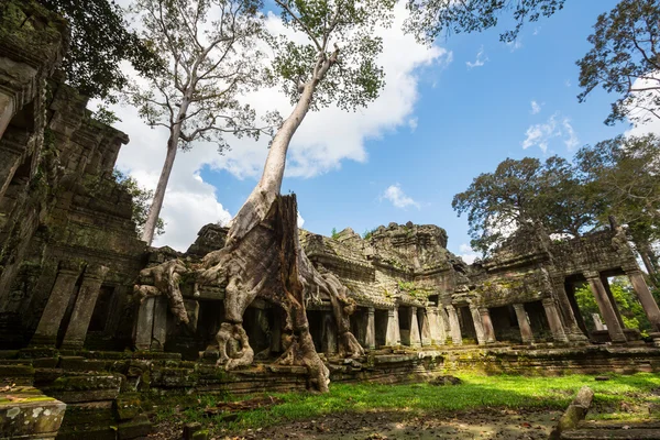 Angkor — Stockfoto