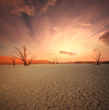 Namib
