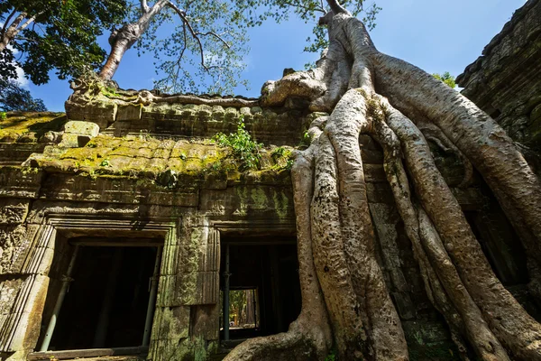 Angkor. —  Fotos de Stock