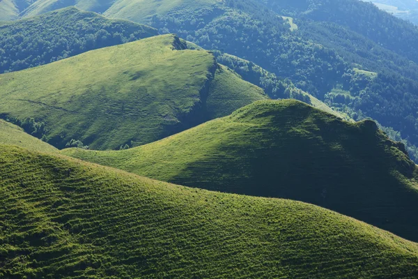 Yeşil tepeler — Stok fotoğraf