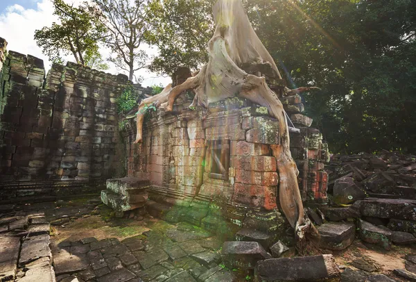 Angkor. —  Fotos de Stock