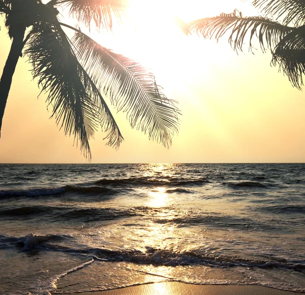 Spiaggia tropicale — Foto Stock