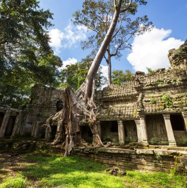 Angkor