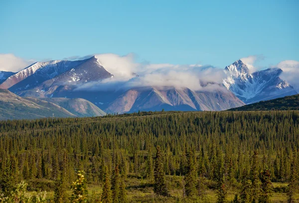 Alaskan krajobrazy — Zdjęcie stockowe