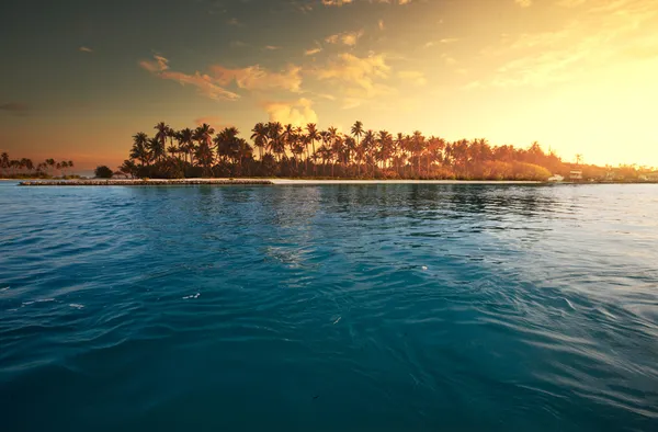 Praia tropical — Fotografia de Stock