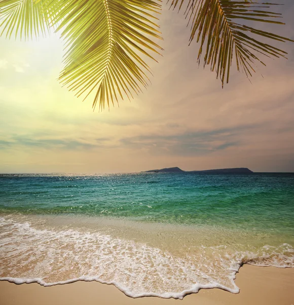 Tropical beach — Stock Photo, Image