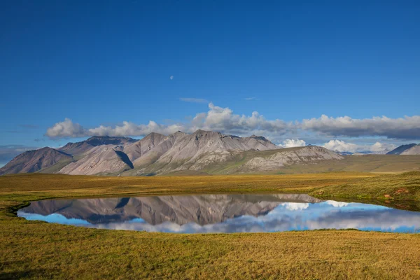 Jezero na Aljašce — Stock fotografie