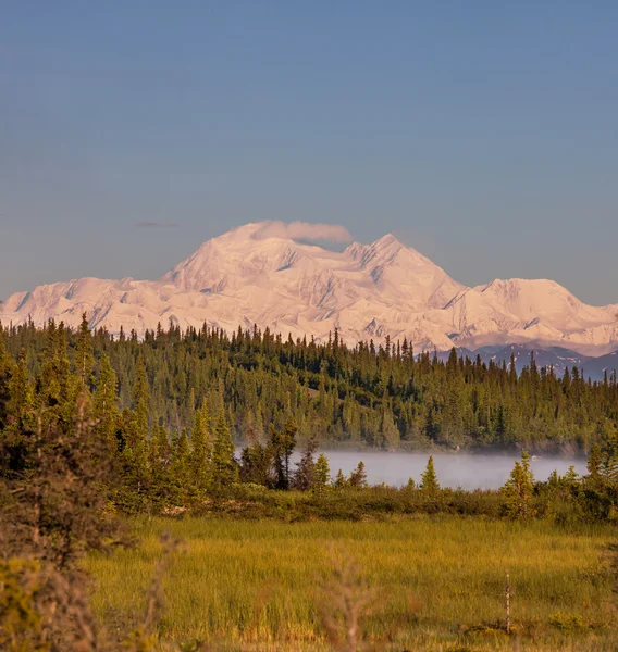 Mckinley. — Fotografia de Stock