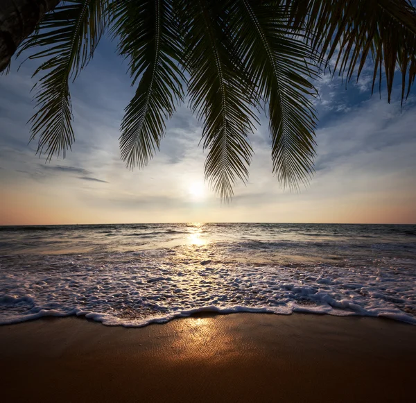 Spiaggia tropicale — Foto Stock