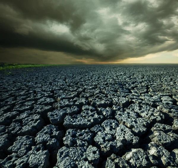 Droogte — Stockfoto