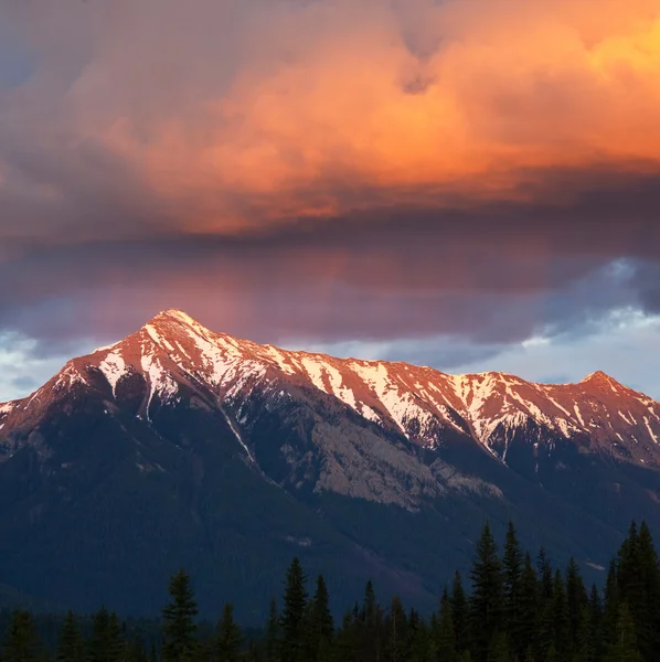 Munții canadieni — Fotografie, imagine de stoc