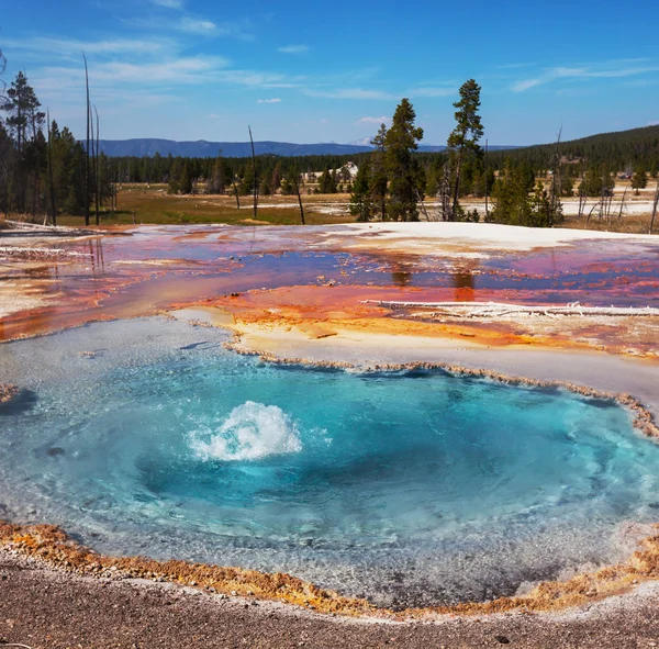 Yellowstone — Stok fotoğraf