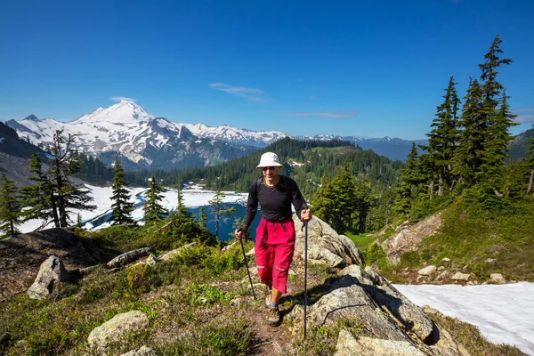 Hike in Baker Area — Stock Photo, Image